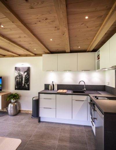Location appartement Davaloo Samoëns espace nature 03